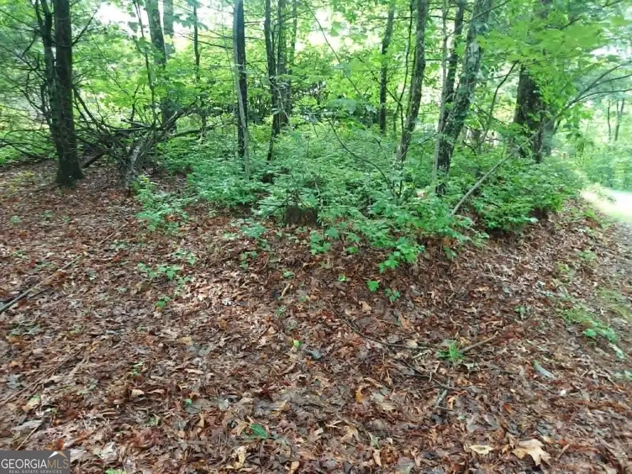0 LOT 3 Jiminy Peak, Sky Valley, GA 30537 - #2