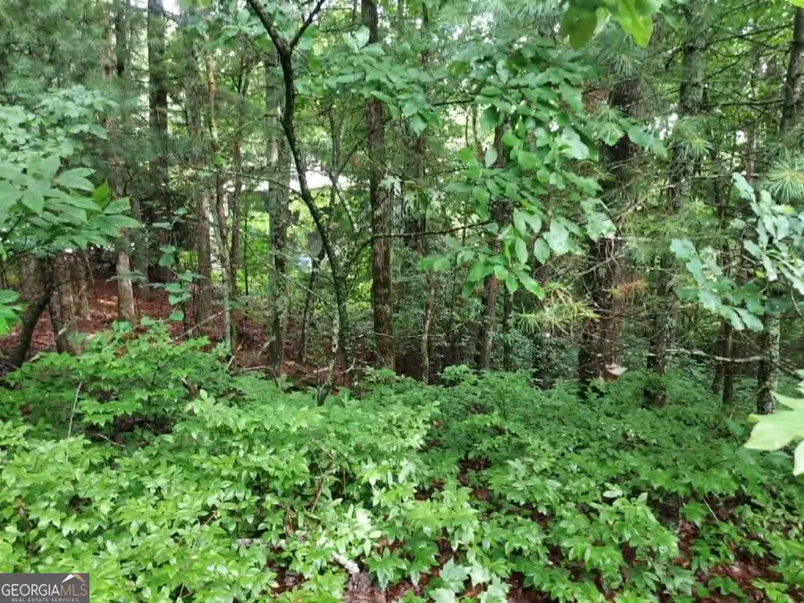 0 LOT 3 Jiminy Peak, Sky Valley, GA 30537 - #3