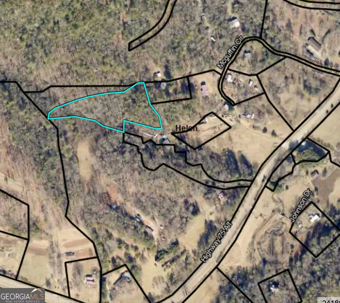3.2 ACRES Mcguffin Circle, Helen, GA 30545 - #1
