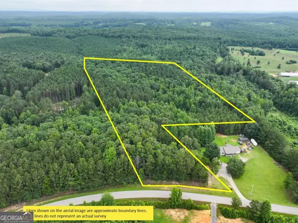 18 +/- Acres On Pope Lake Road, Buchanan, GA 30113
