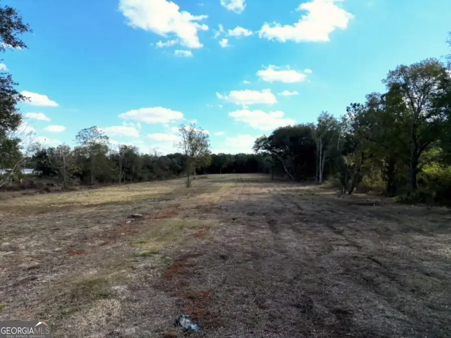 0 Goodson Road, Pelham, GA 31779 - #3