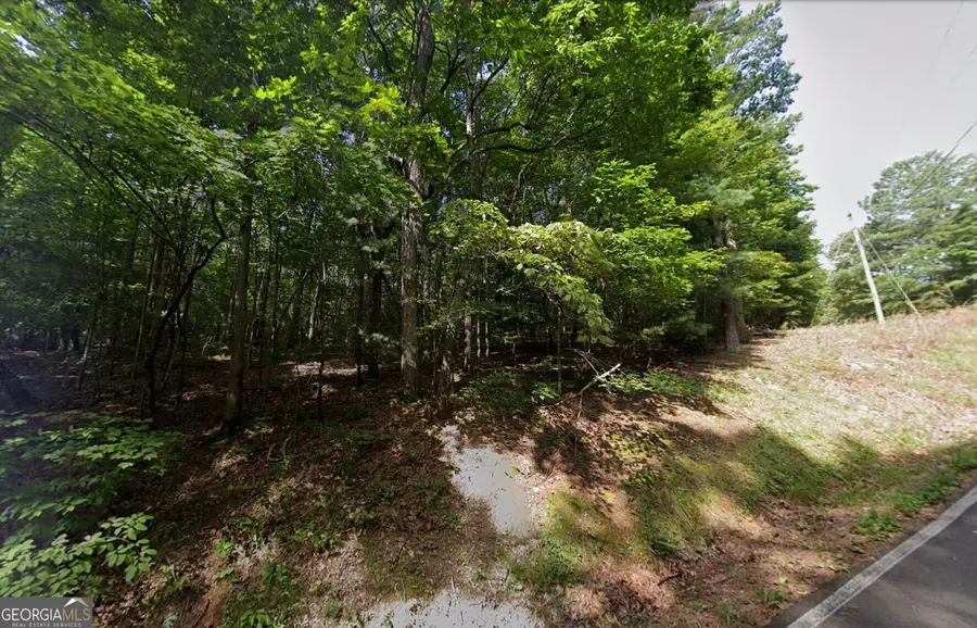 1060 Nexus Dr, Ellijay, GA 30540 - #2