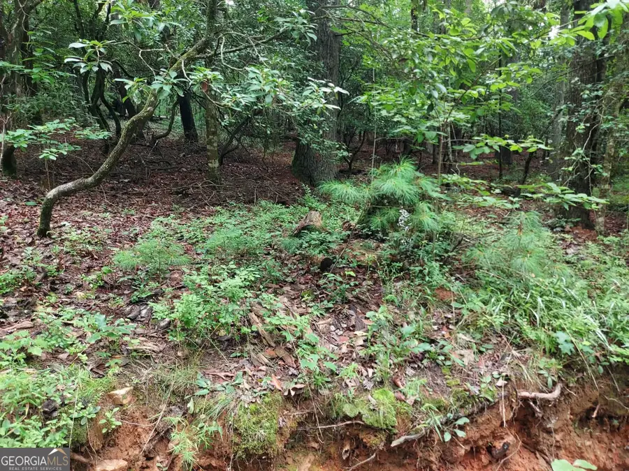 0 LOT 1A Wexford Way, Lakemont, GA 30552 - #3
