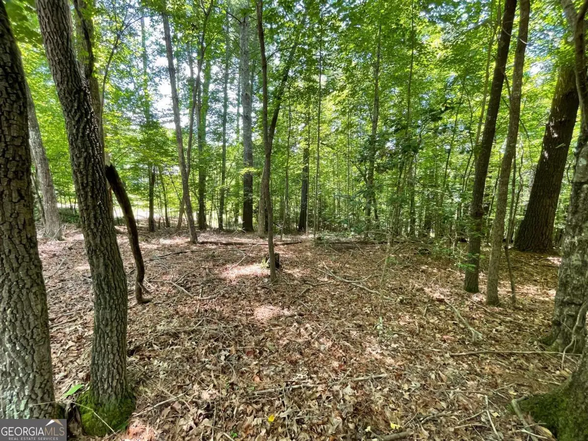 LOT 2 Mount Pleasant Ridge Road #2, Blairsville, GA 30512 - #1