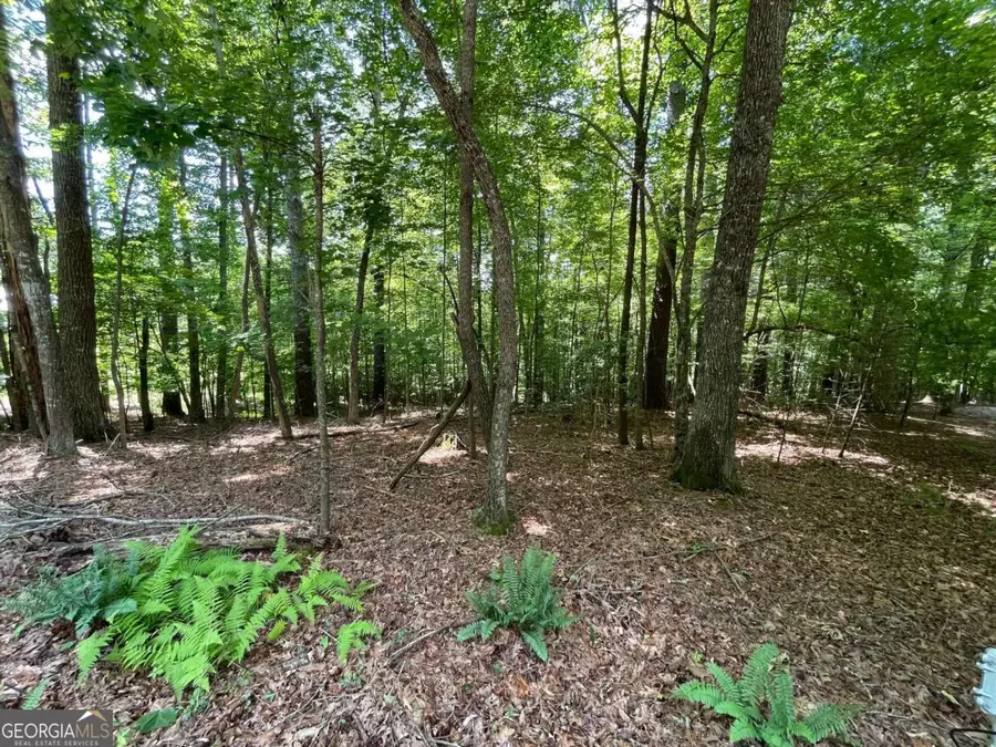 LOT 2 Mount Pleasant Ridge Road #2, Blairsville, GA 30512 - #2