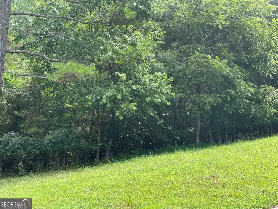 LOT 1 Pinehurst #1, Blairsville, GA 30512 - #3