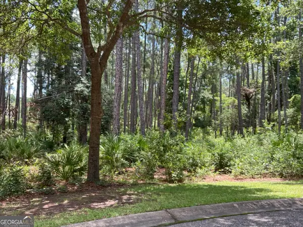 LOT 242 Lateral Buoy Lane, St. Marys, GA 31558