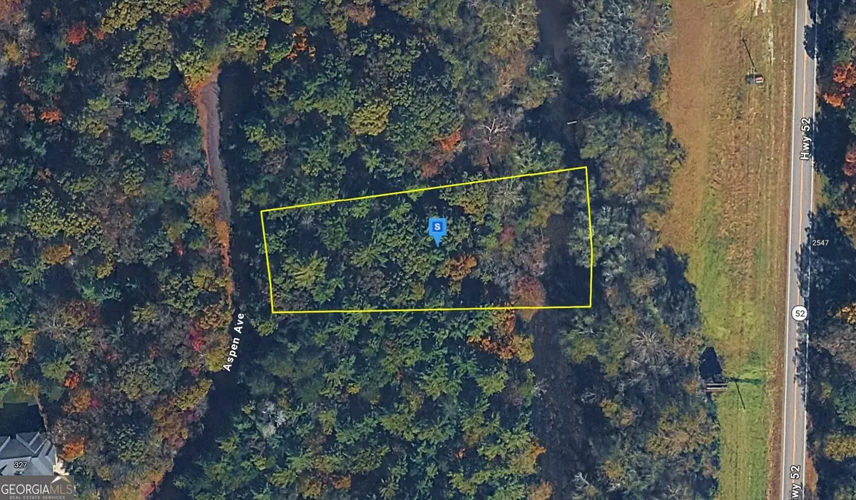 330 Aspen Avenue, Ellijay, GA 30536 - #1