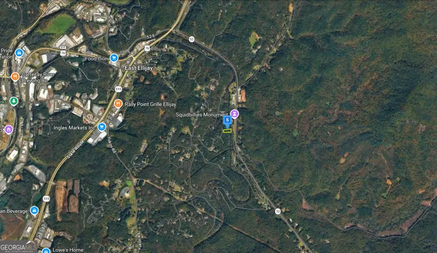 330 Aspen Avenue, Ellijay, GA 30536 - #3