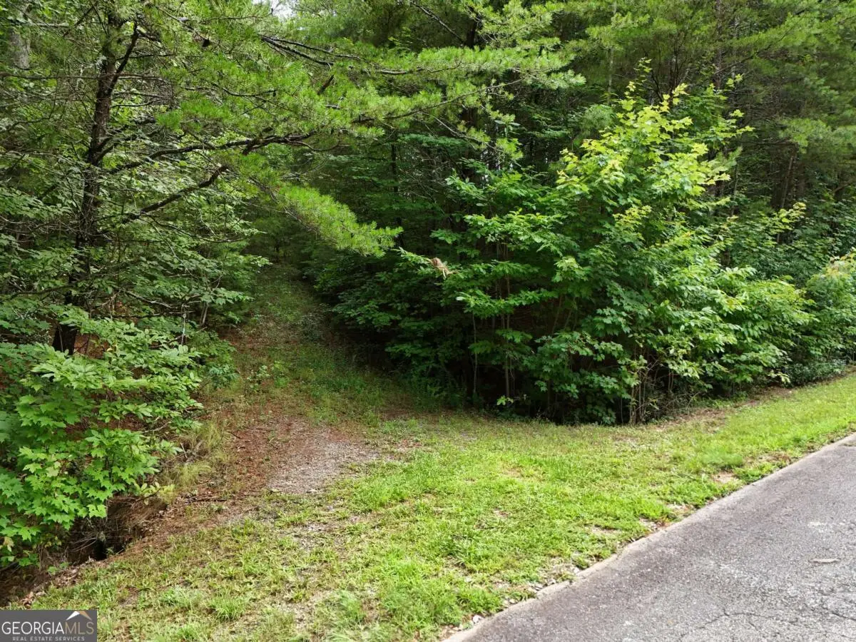 LOT 5 East Ridge Lane, Ellijay, GA 30540 - #1