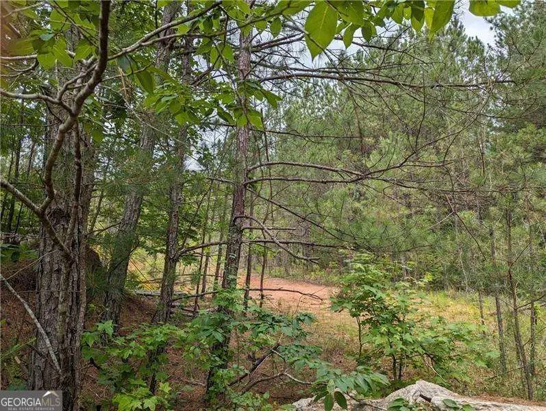 7900 Downs Road, Winston, GA 30187 - #1