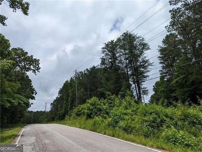 7900 Downs Road, Winston, GA 30187 - #2