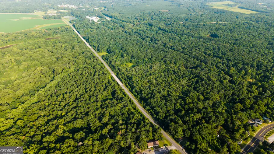0 State Route 26 Road, Montezuma, GA 31063 - #3