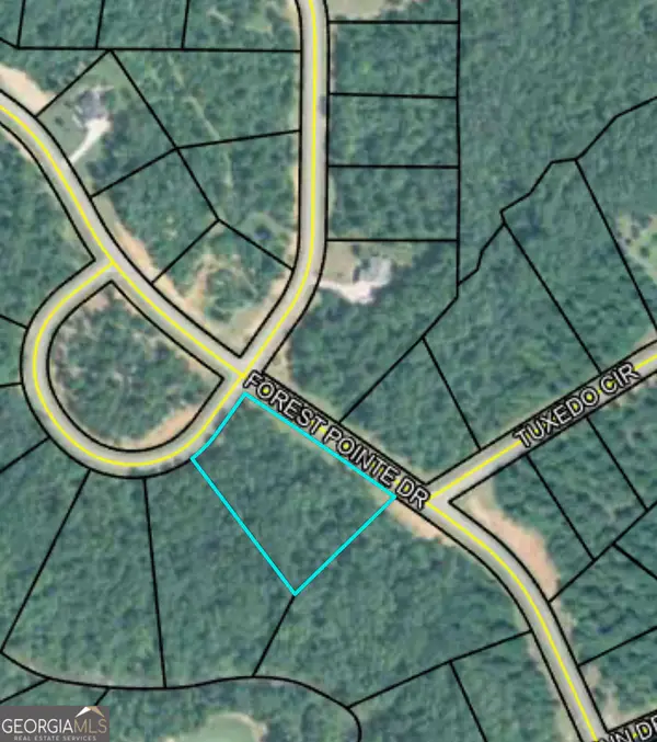 207 Forest Pointe Drive, Forsyth, GA 31029