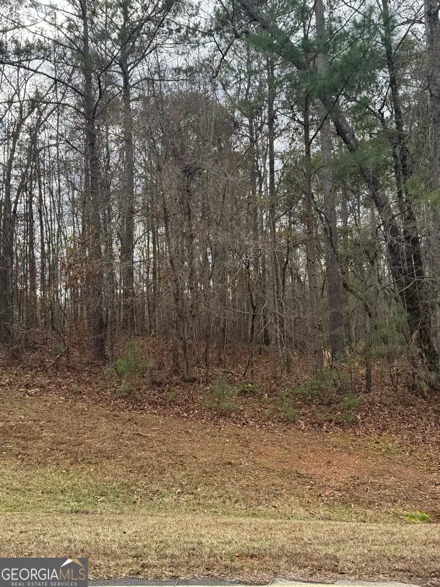 207 Forest Pointe Drive, Forsyth, GA 31029 - #3