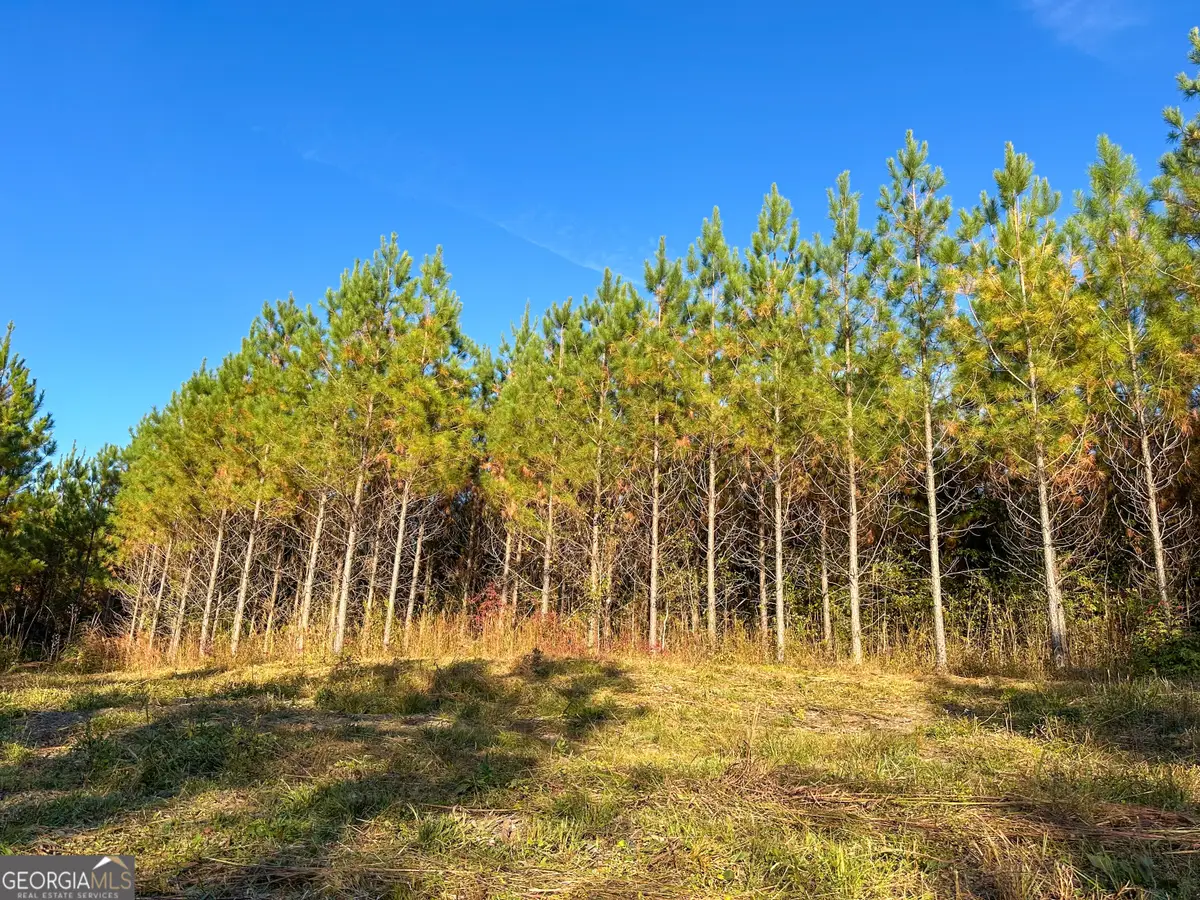49.2 ACRES Jordon Road, Waverly Hall, GA 31831 - #1