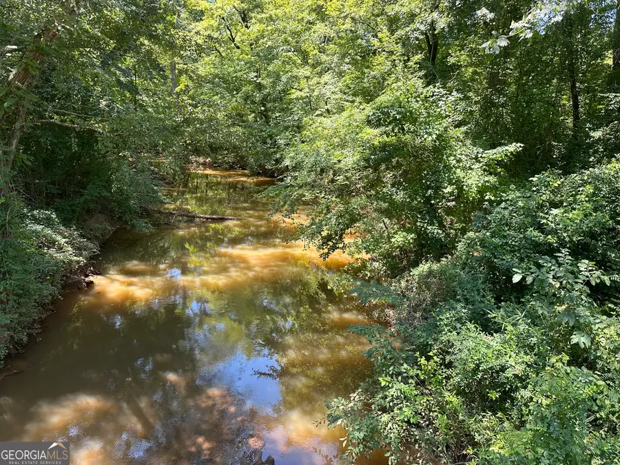 49.2 ACRES Jordon Road, Waverly Hall, GA 31831 - #3