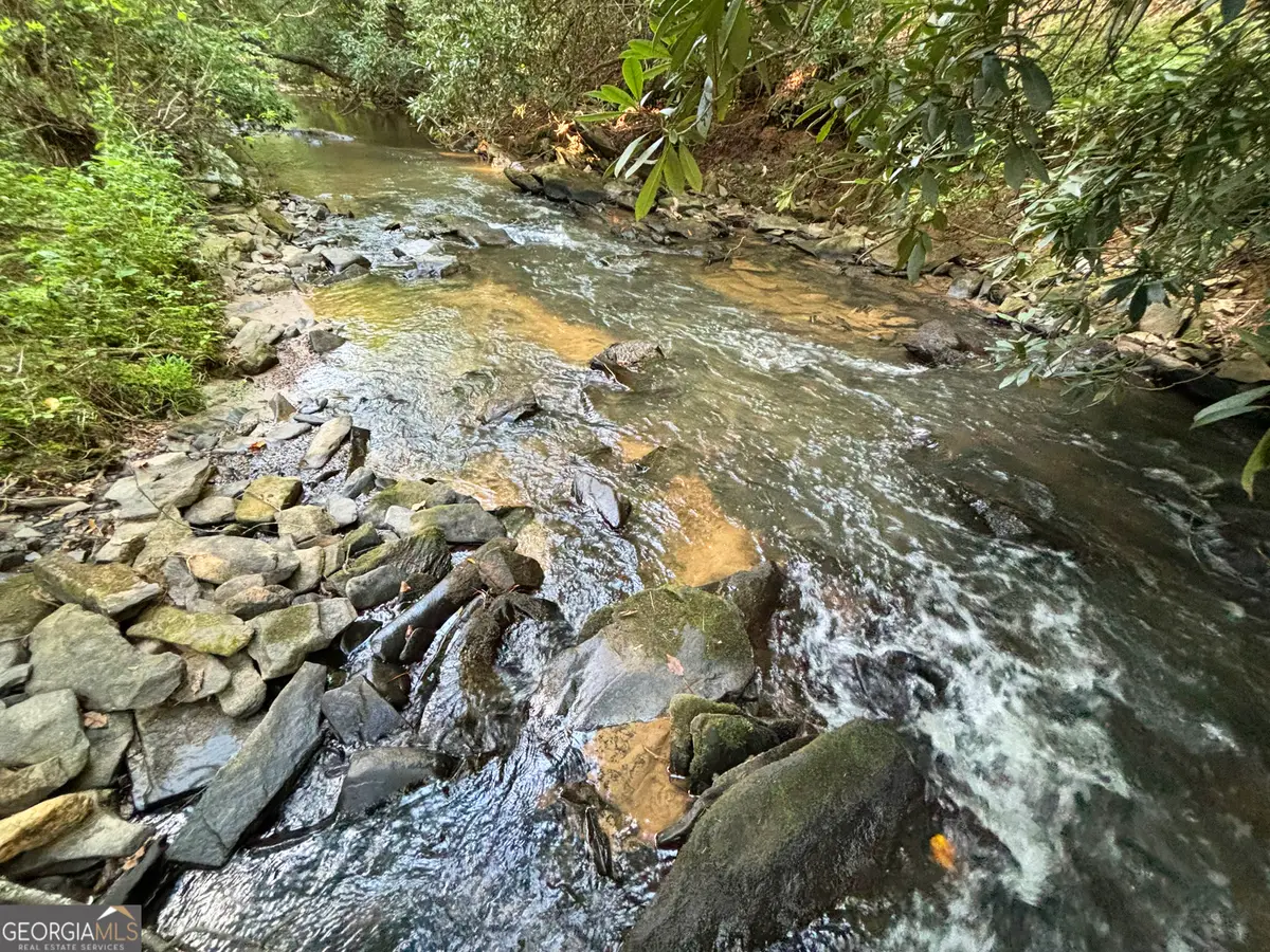 LOT 17 Mt. Springer Road, Ellijay, GA 30540 - #1