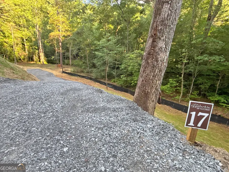 LOT 17 Mt. Springer Road, Ellijay, GA 30540 - #2
