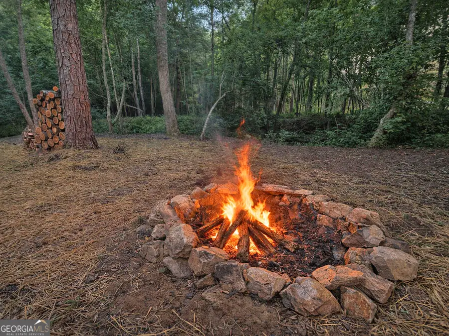 LOT 17 Mt. Springer Road, Ellijay, GA 30540 - #3