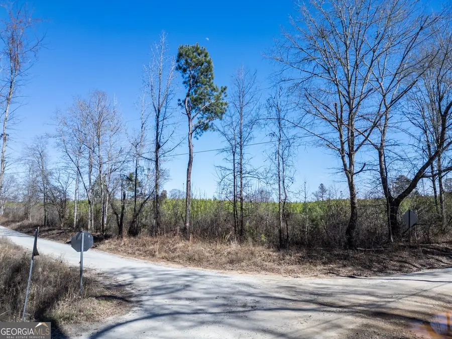 0 Millen Road #18, Monticello, GA 31064 - #2
