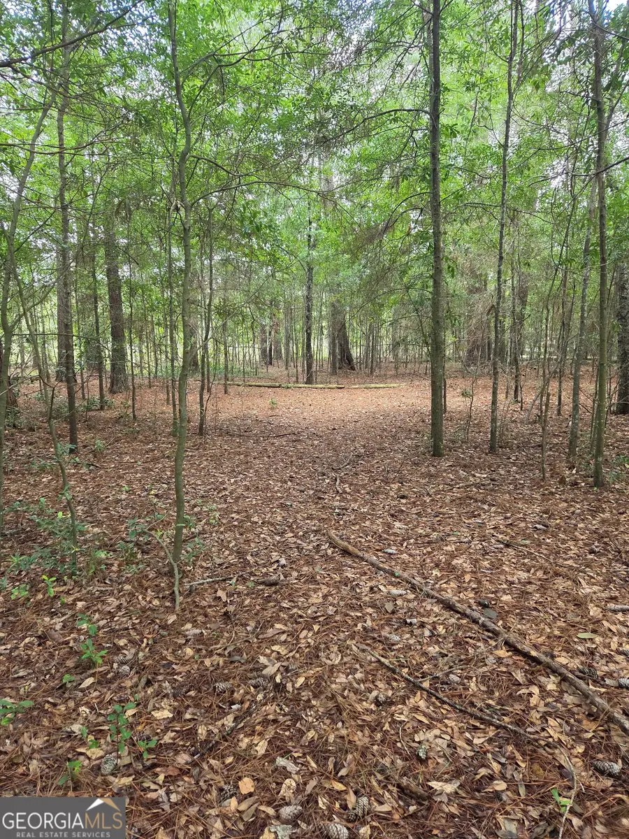 0 Fairway Lane, Hawkinsville, GA 31036 - #2