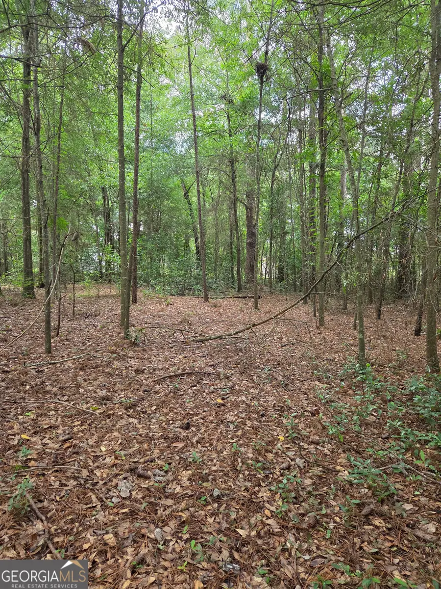 0 Fairway Lane, Hawkinsville, GA 31036 - #3