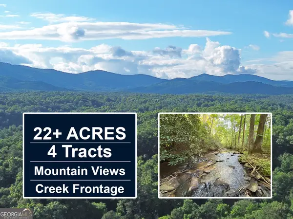 1720 Mt Springer Road, Ellijay, GA 30540