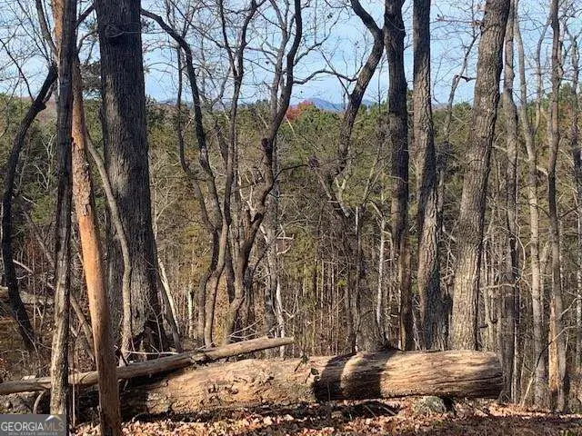 190 Auraria Ridge, Dawsonville, GA 30534 - #3