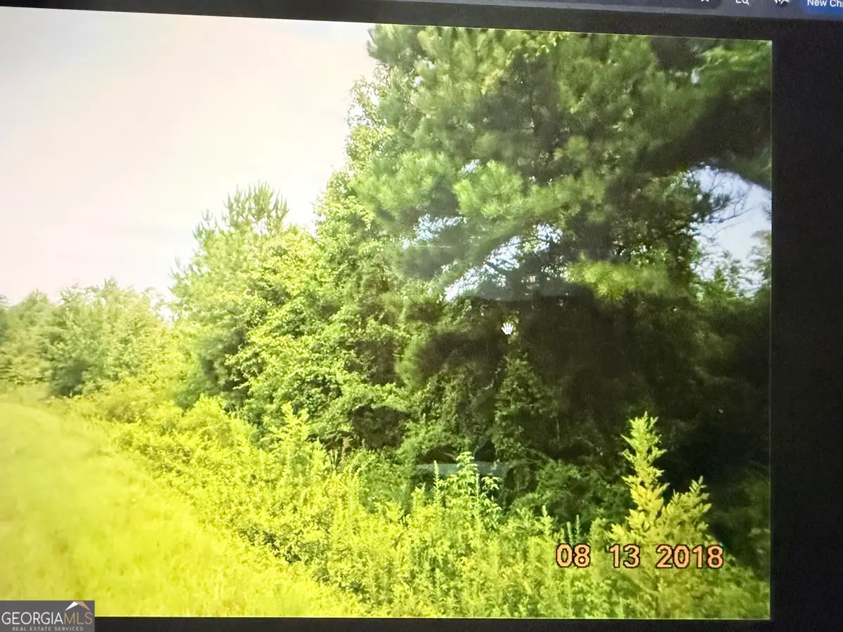 C017-020 Whitaker Road, Roberta, GA 31078 - #1