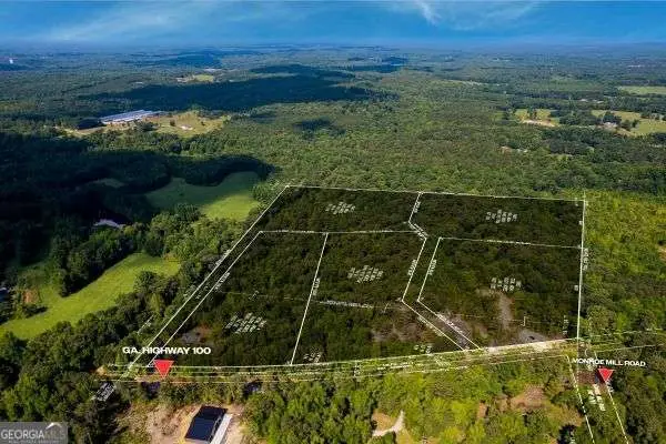 TRACT2 Georgia Highway 100, Buchanan, GA 30113 - #2