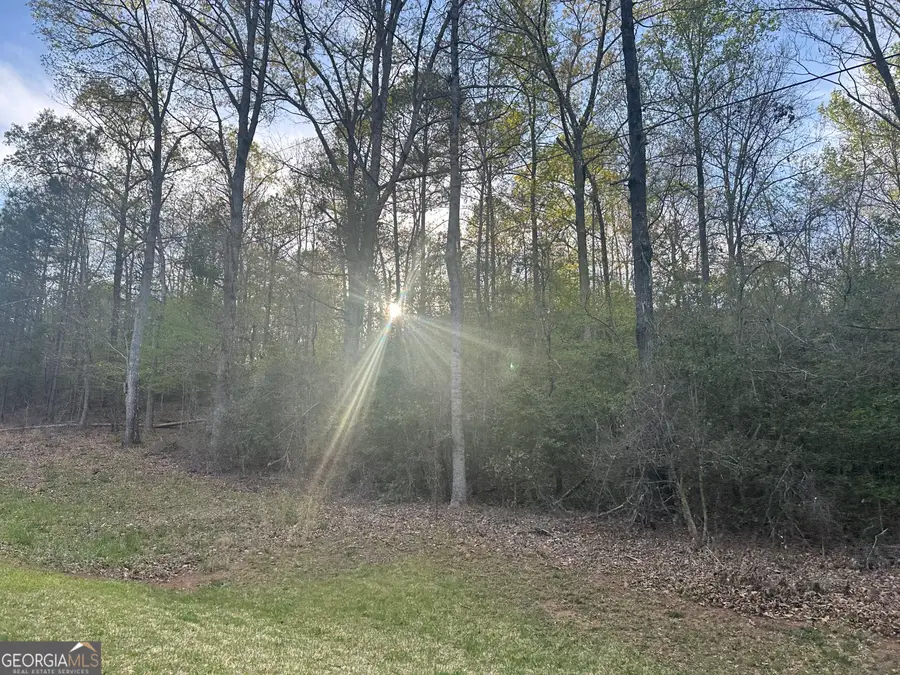1141 Skipstone Drive, Watkinsville, GA 30677 - #2