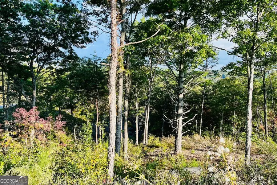 LOT 17 Mountain Laurel Ridge, Mineral Bluff, GA 30559 - #2