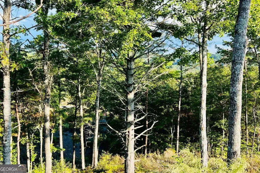 LOT 17 Mountain Laurel Ridge, Mineral Bluff, GA 30559 - #3