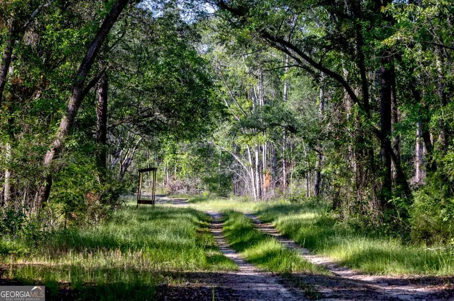 0 Robinson Road, Baconton, GA 31716 - #3