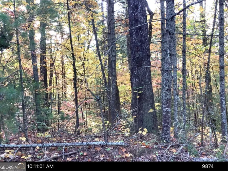 0 Andros Court, Ellijay, GA 30540 - #2