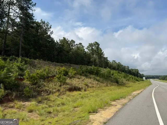 0 N Us Highway 1, Matthews, GA 30818 - #1