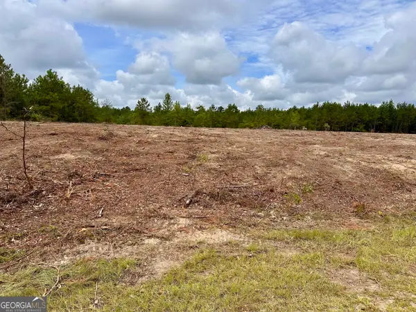LOT A Rock Springs Road, Dublin, GA 31021