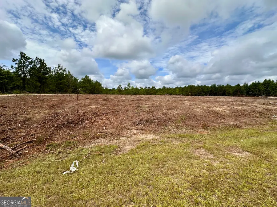 LOT A Rock Springs Road, Dublin, GA 31021 - #2