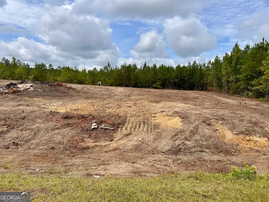 LOT A Rock Springs Road, Dublin, GA 31021 - #3