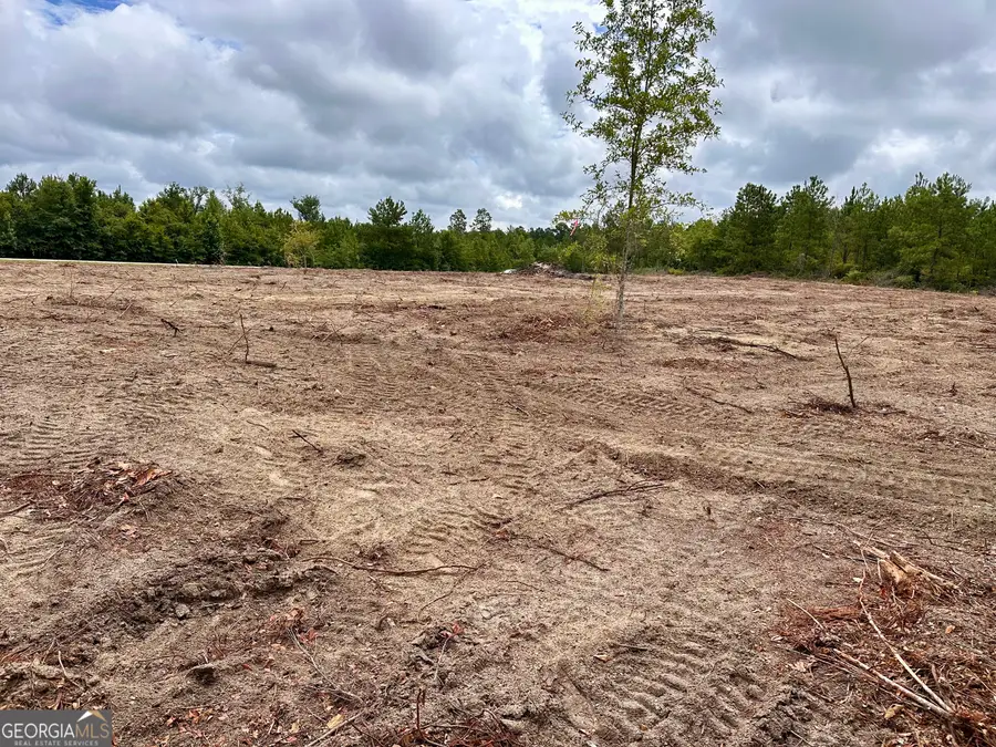 LOT B Rock Springs Road, Dublin, GA 31021 - #2