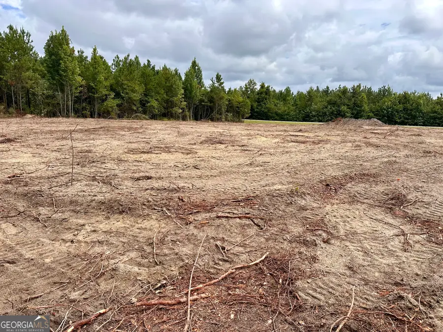 LOT B Rock Springs Road, Dublin, GA 31021 - #3