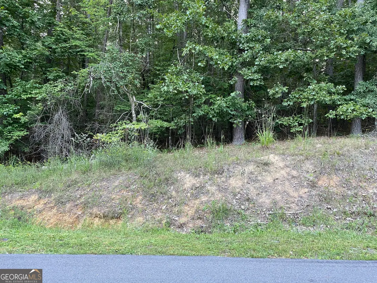 0 Rockmart Road Se, Silver Creek, GA 30173 - #1