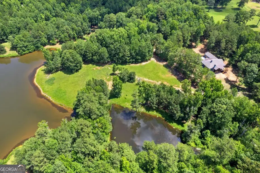 10861 Hutcheson Ferry Road, Chattahoochee Hills, GA 30268 - #3