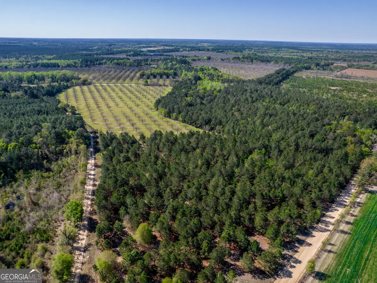 0 Kermit Road, Cobbtown, GA 30420 - #1