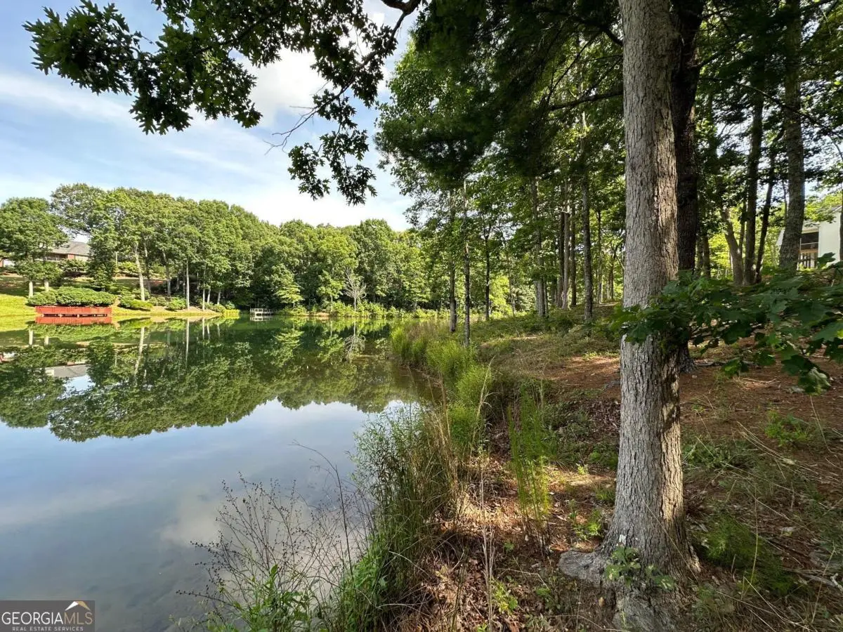 1117 Rome Beauty, Clarkesville, GA 30523 - #1