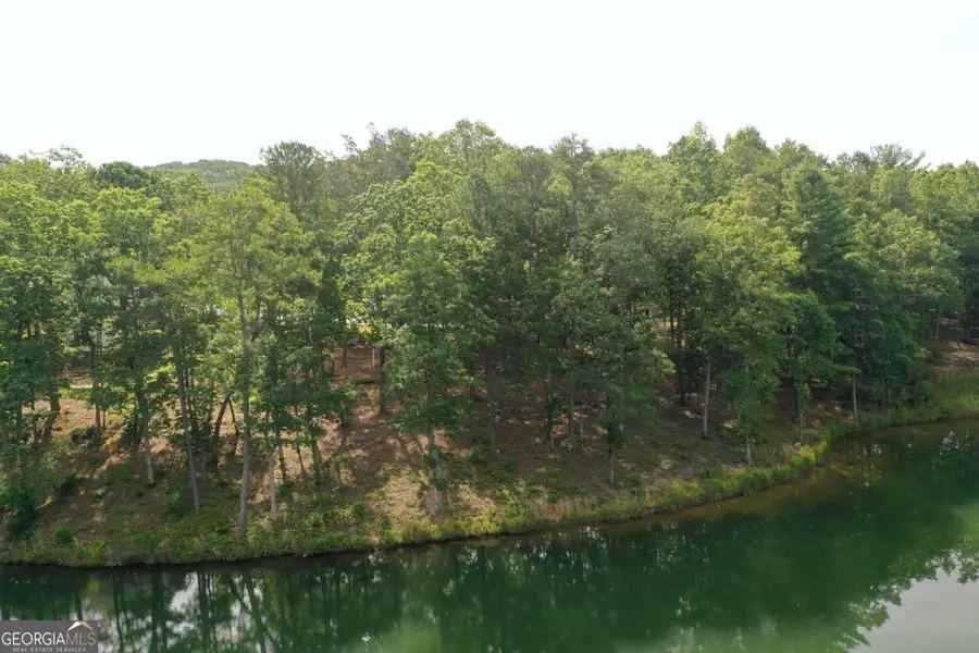 1117 Rome Beauty, Clarkesville, GA 30523 - #3