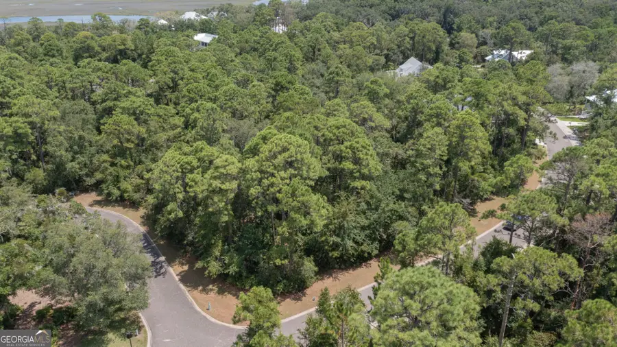 V/L 396 Cumberland Harbour Ph3, Saint Marys, GA 31558 - #2