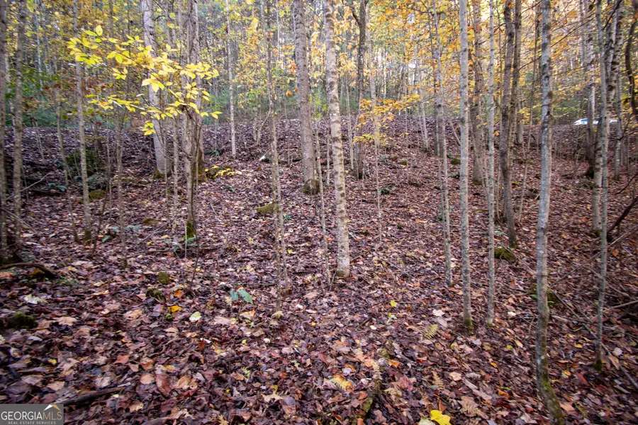 LOT 66 Choctaw Ridge Trail, Murphy, NC 28906 - #2