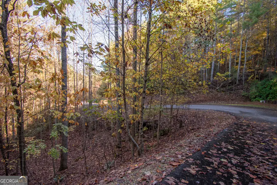 LOT 66 Choctaw Ridge Trail, Murphy, NC 28906 - #3